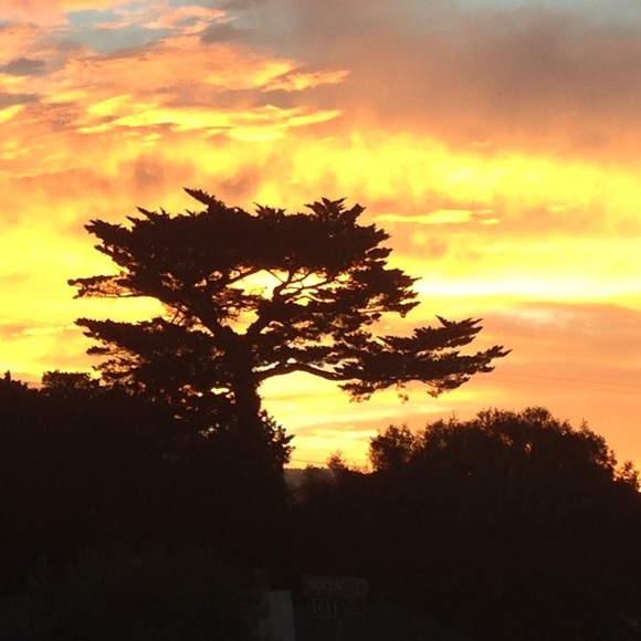 Love✨ - Picture 7 of 12